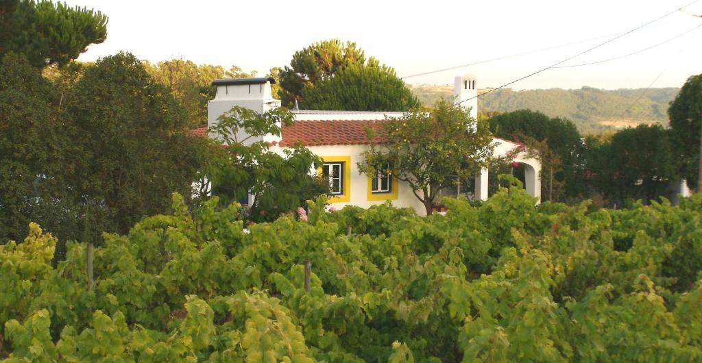 Casal Novo Casa de hóspedes São Martinho do Porto Exterior foto